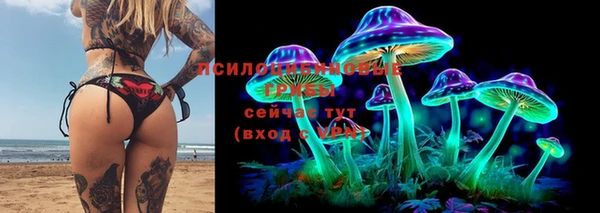 шишки Михайлов