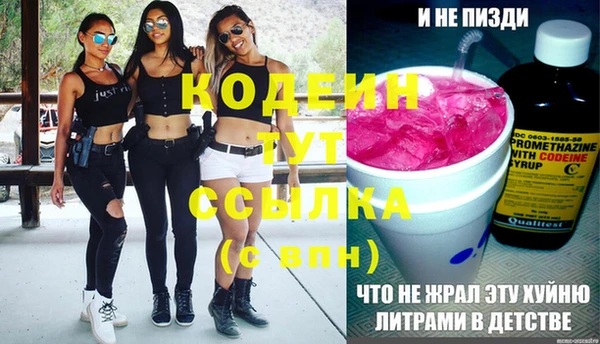 прущие грибы Нея