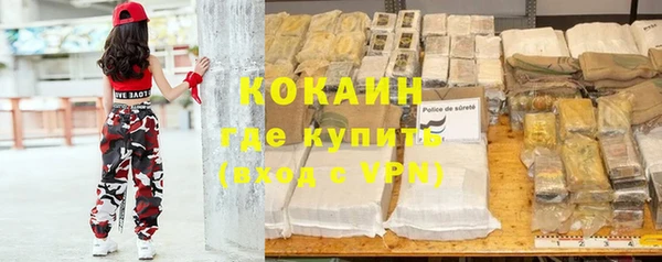 прущие грибы Нея