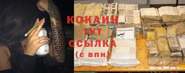 прущие грибы Нея