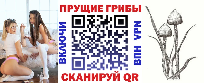 mega   цены   Искитим  Псилоцибиновые грибы Psilocybine cubensis 