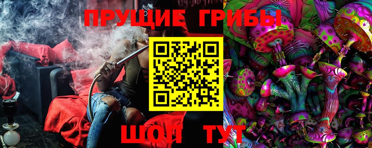 Псилоцибиновые грибы Psilocybe  Искитим 