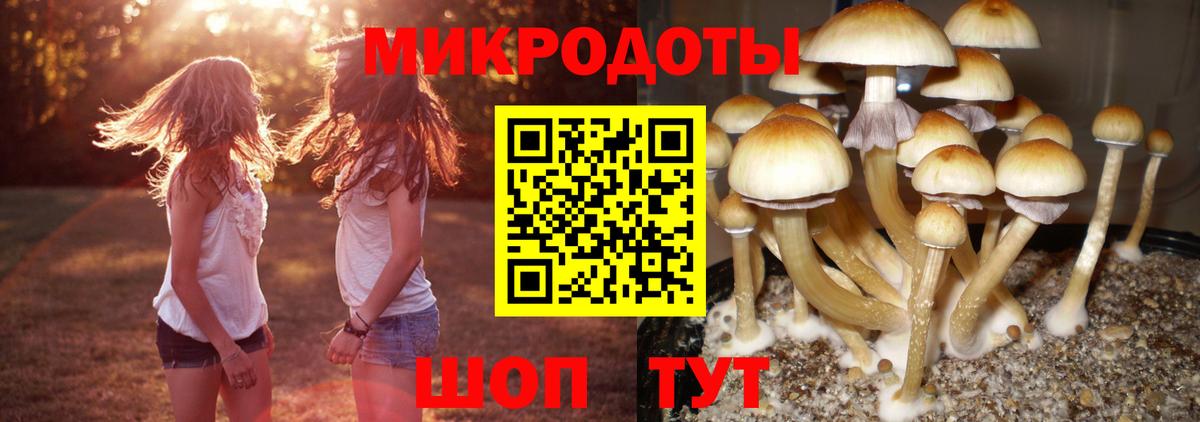 Галлюциногенные грибы MAGIC MUSHROOMS Искитим